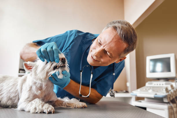 Best Emergency Root Canal Treatment in Woodbine, GA